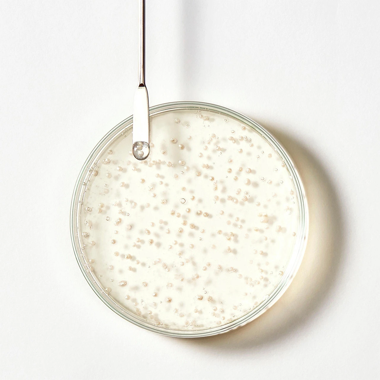 Shampooing Triphasic René Furterer 200ml 2 Shampooing Triphasic René Furterer 200ml – Image 2